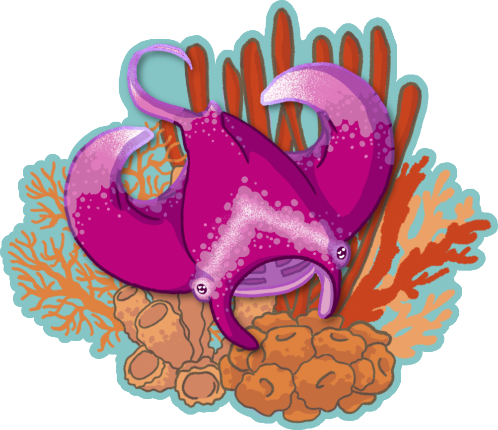 Pink Manta